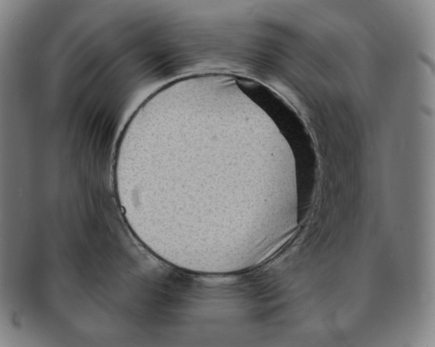 X0000090951296200708301131