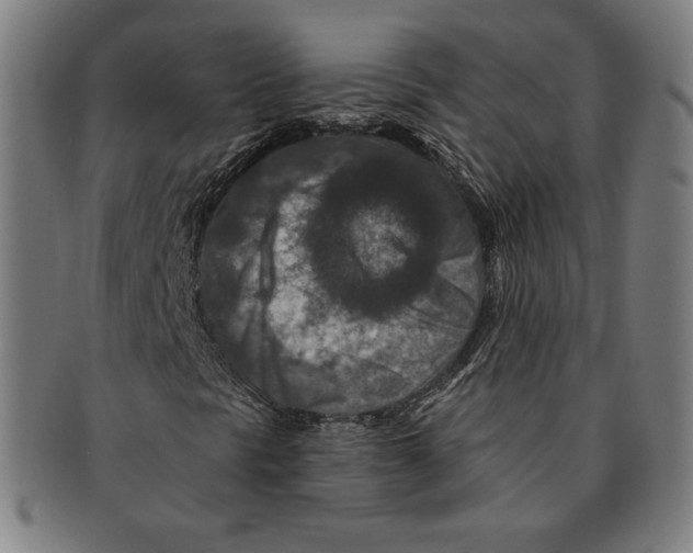 X0000090951297200708301130