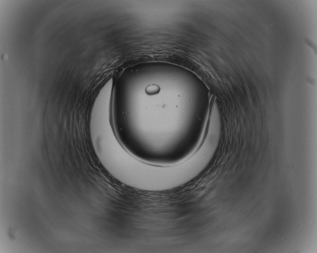 X0000090951298200708301130