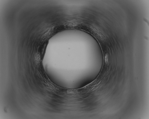 X0000090951299200708301130