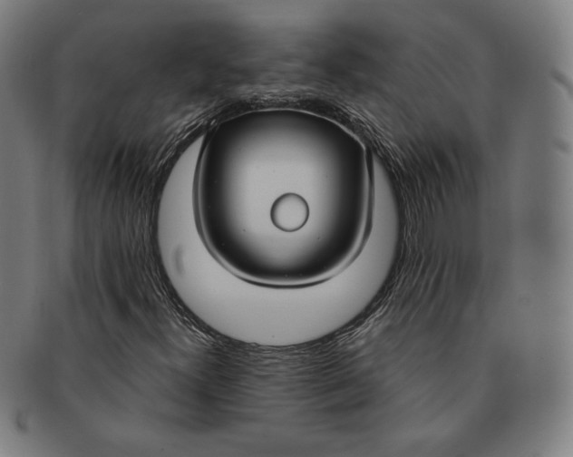 X0000090951300200708301130