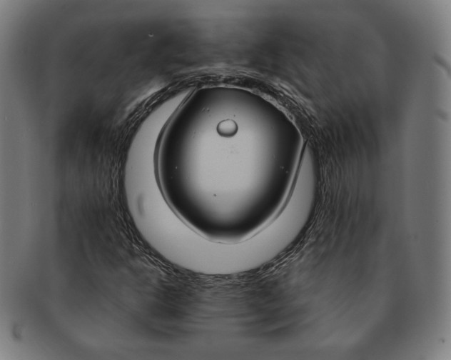 X0000090951302200708301130