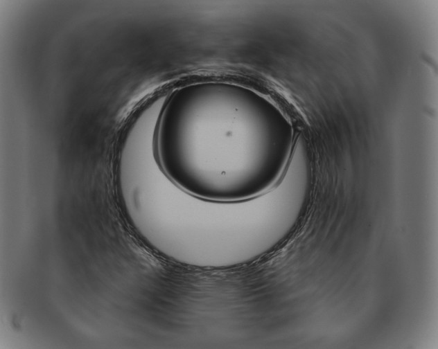 X0000090951304200708301130