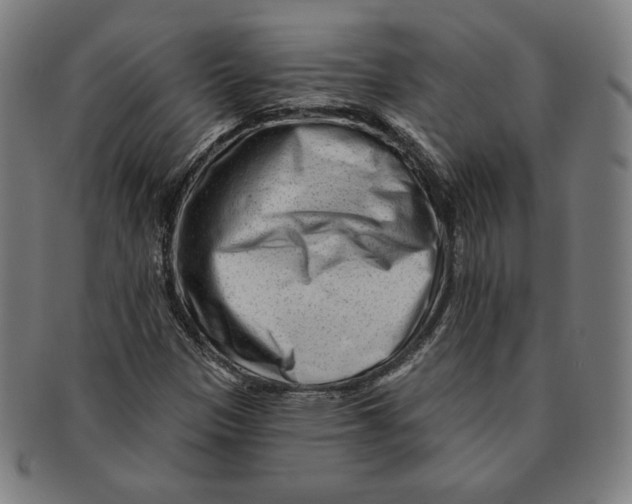 X0000090951305200708301130