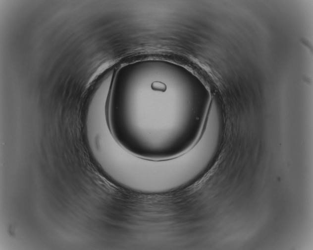 X0000090951306200708301130