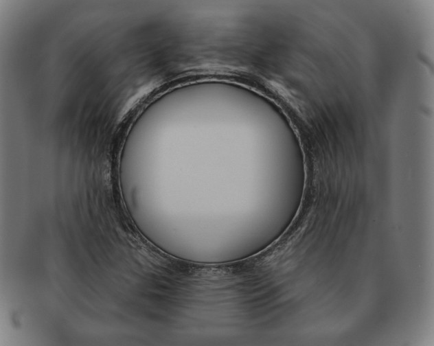 X0000090951307200708301130