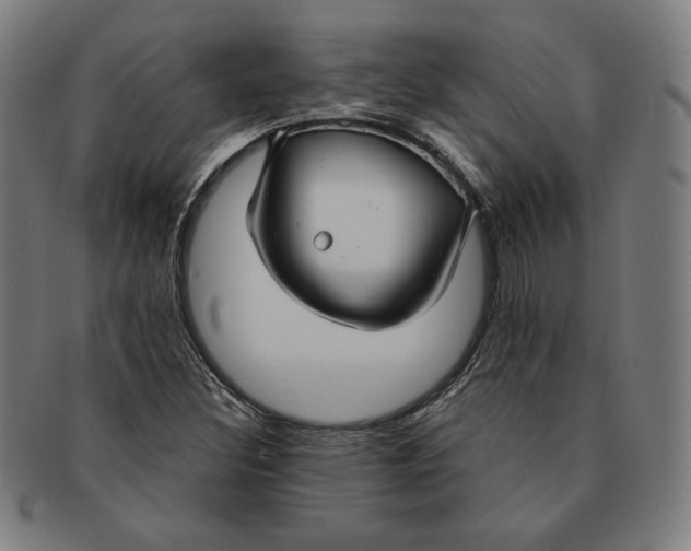 X0000090951308200708301130