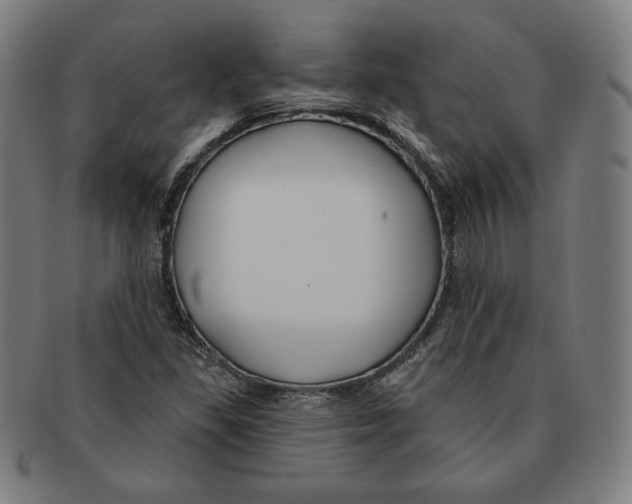X0000090951309200708301130
