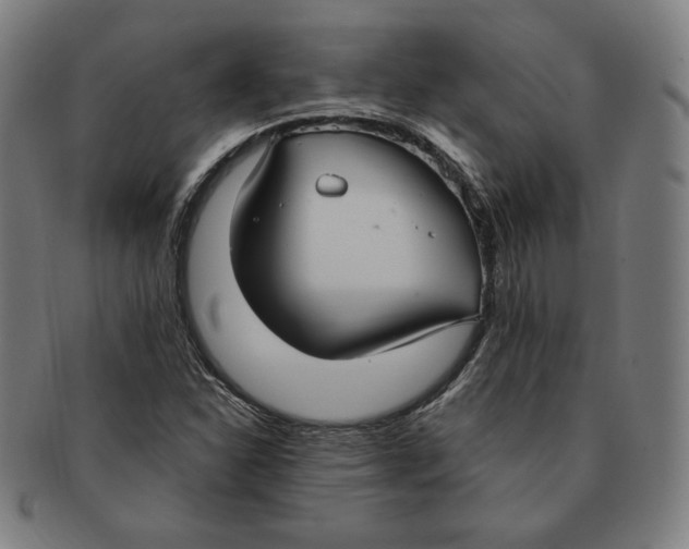X0000090951310200708301130