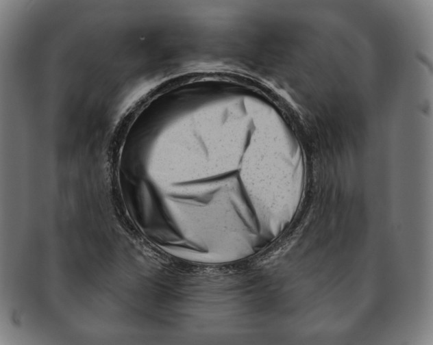 X0000090951311200708301130