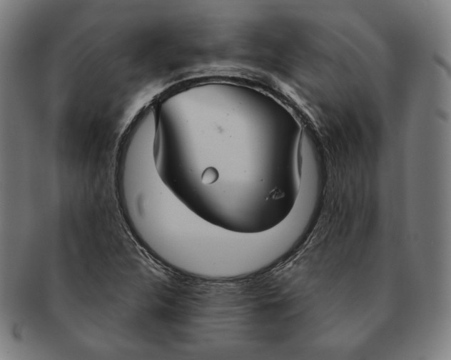 X0000090951312200708301130