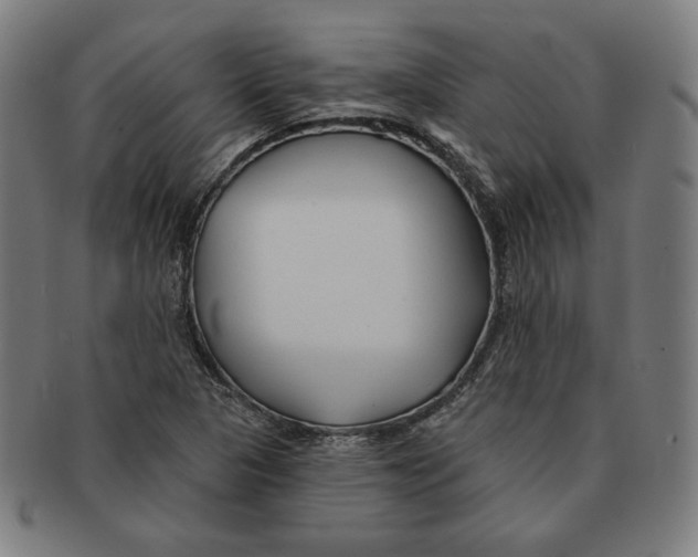 X0000090951313200708301130