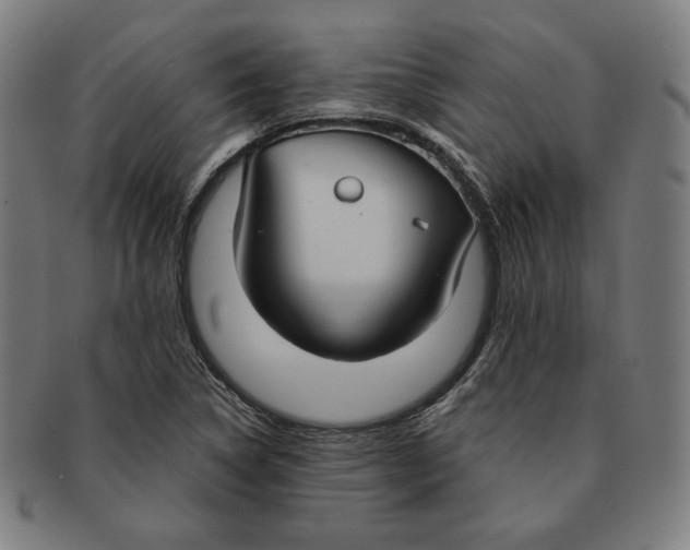 X0000090951314200708301130