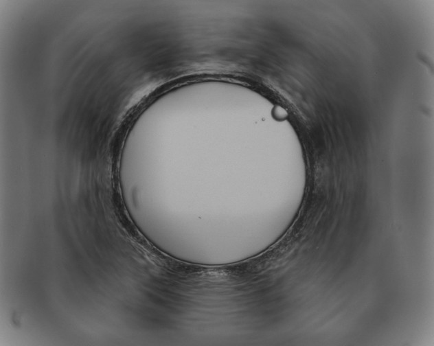 X0000090951315200708301130