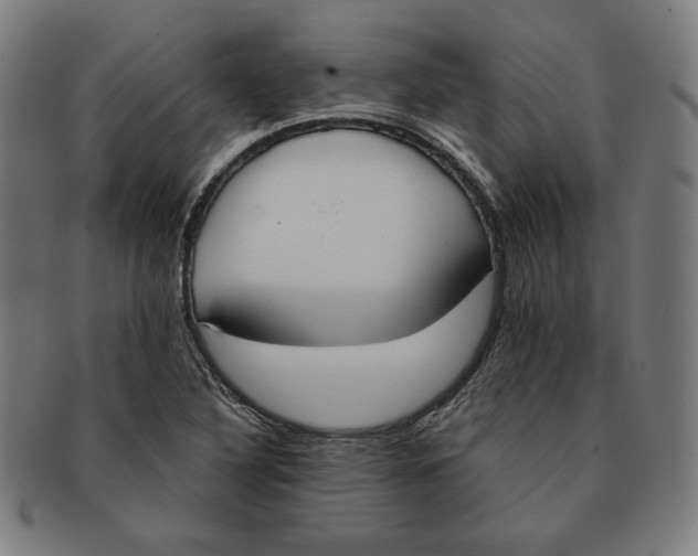 X0000090951316200708301130
