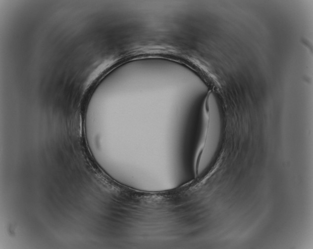 X0000090951317200708301130
