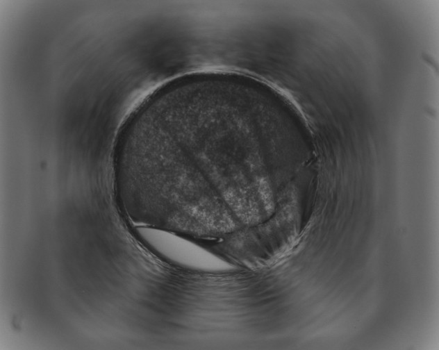 X0000090951319200708301130