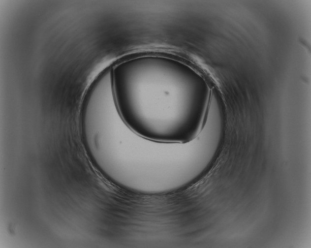 X0000090951320200708301130