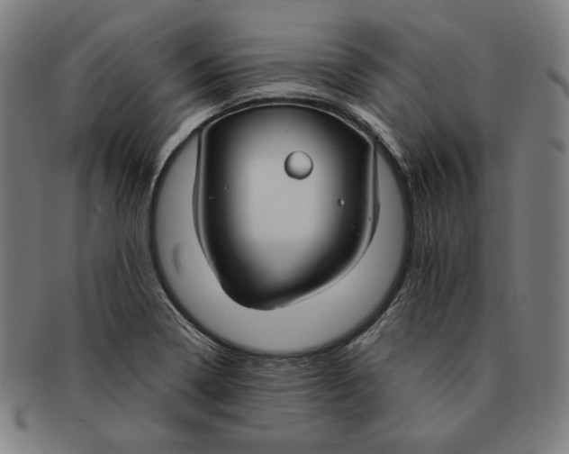 X0000090951322200708301131