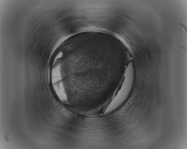 X0000090951323200708301131