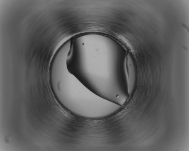 X0000090951324200708301131