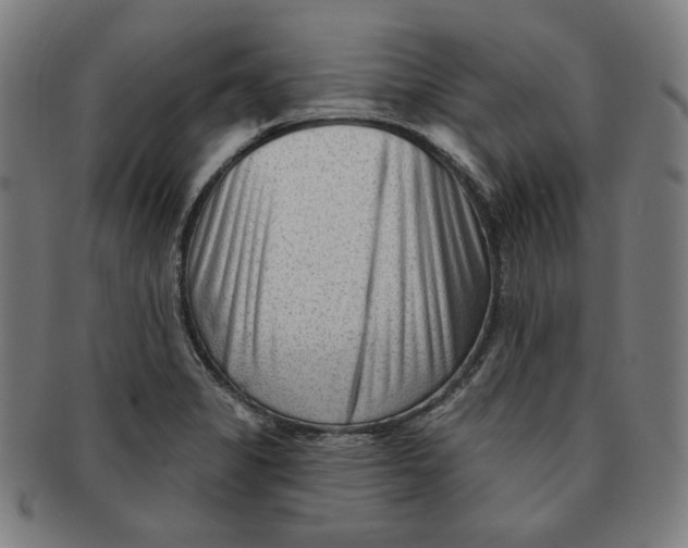 X0000090951325200708301131