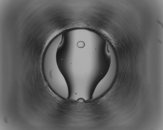 X0000090951326200708301131