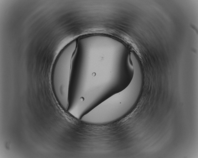 X0000090951328200708301131