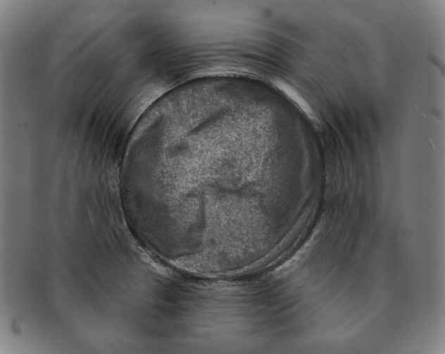 X0000090951329200708301131