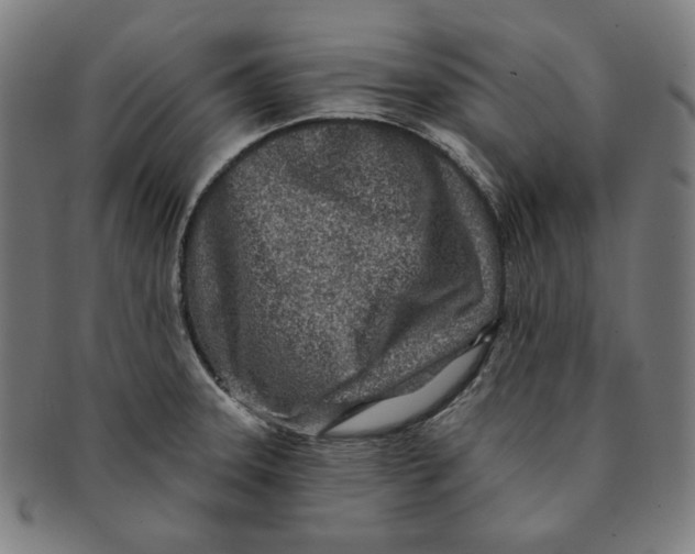 X0000090951331200708301131