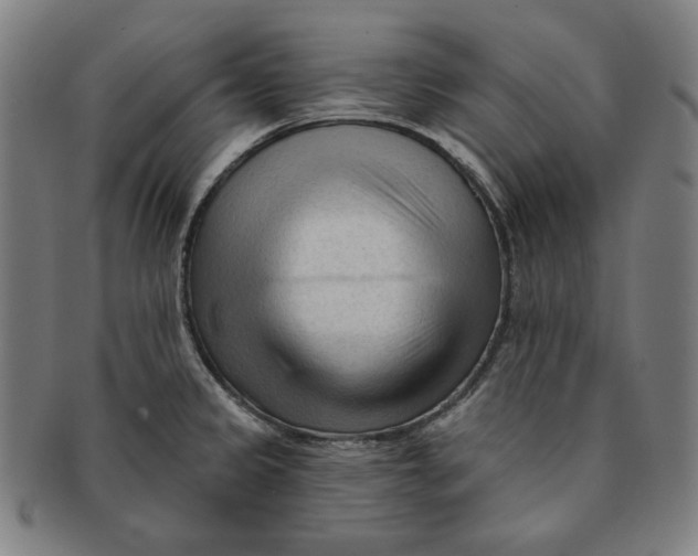 X0000090951333200708301131