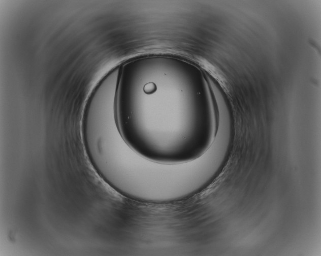 X0000090951334200708301131
