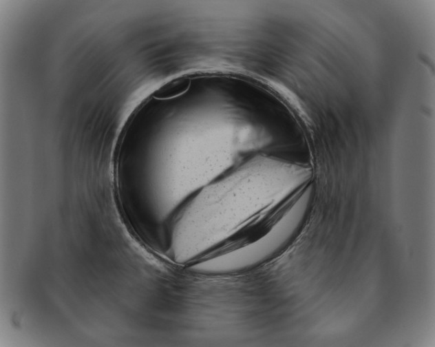 X0000090951335200708301131