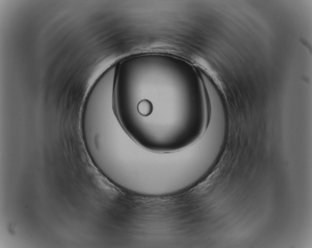 X0000090951336200708301131