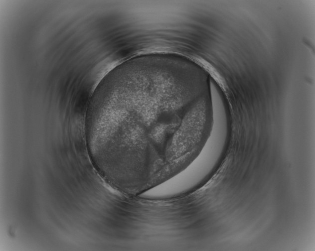 X0000090951337200708301131