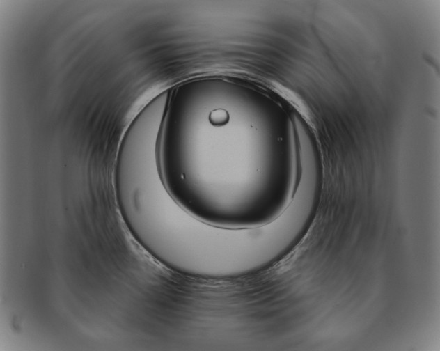 X0000090951338200708301131