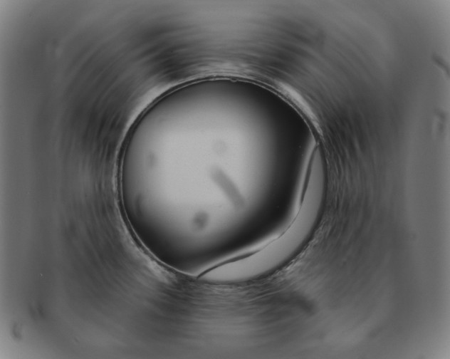 X0000090951339200708301131