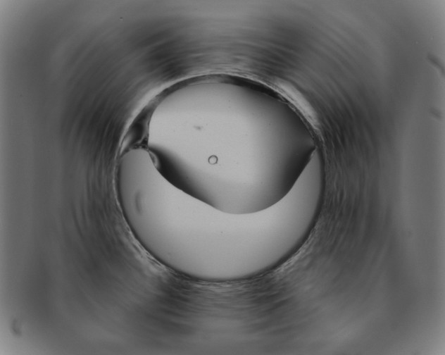 X0000090951340200708301131
