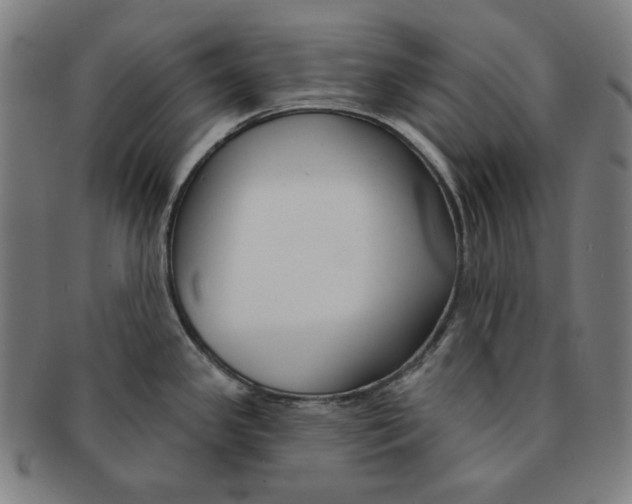 X0000090951341200708301131