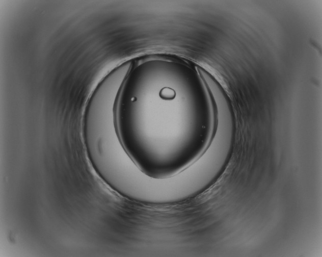 X0000090951342200708301131