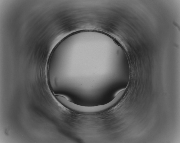 X0000090951343200708301131