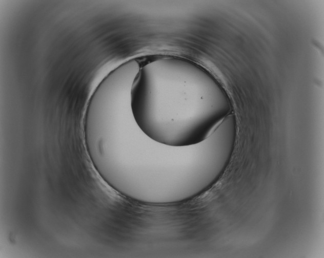 X0000090951344200708301131