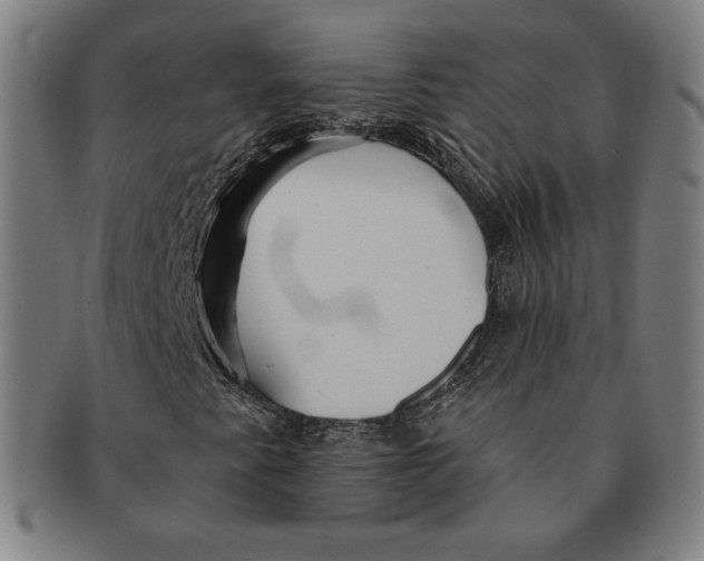 X0000090951345200708301130