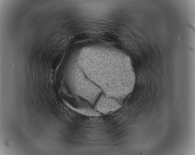 X0000090951346200708301130