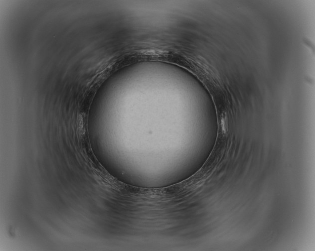 X0000090951347200708301130
