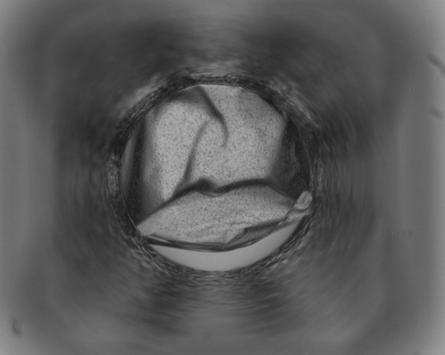 X0000090951350200708301130