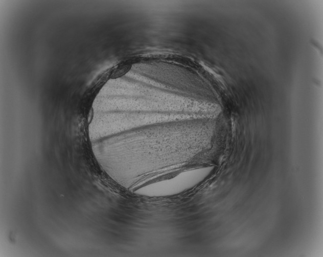 X0000090951351200708301130