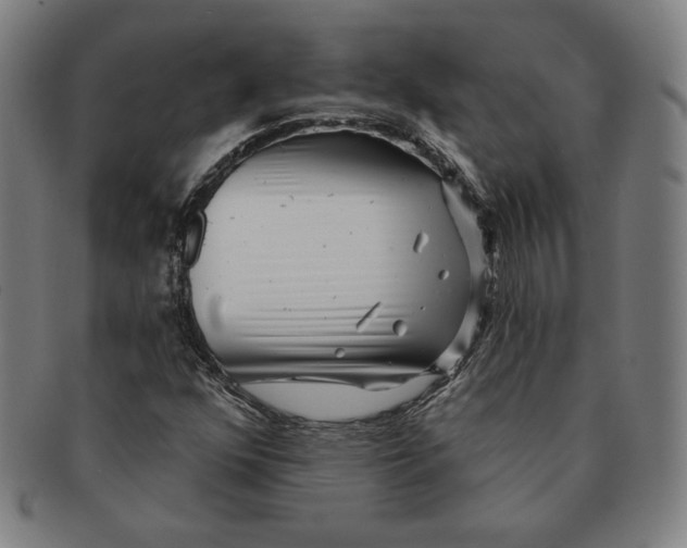 X0000090951352200708301130
