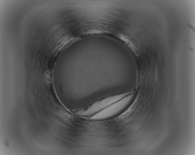 X0000090951353200708301130