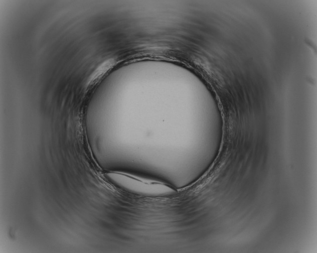 X0000090951354200708301130
